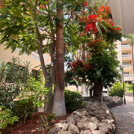 Διαμέρισμα Sunny Apto Castle Harbour